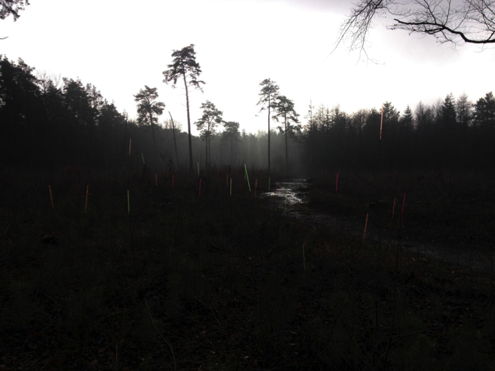 Chantalle Diepmaat, Katharine Hoevelmann, Ellen Schallmayer 