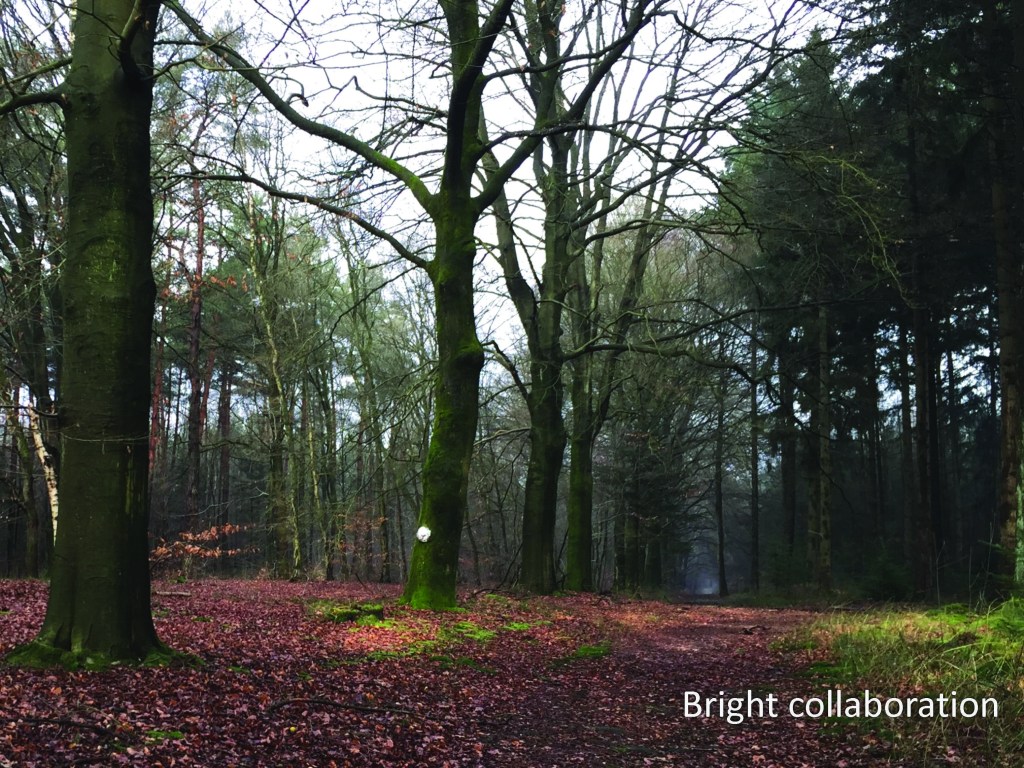 ReinierGramsma, MelleKoelewijn, Sam van den OetelaarenJan Willem van Veelen