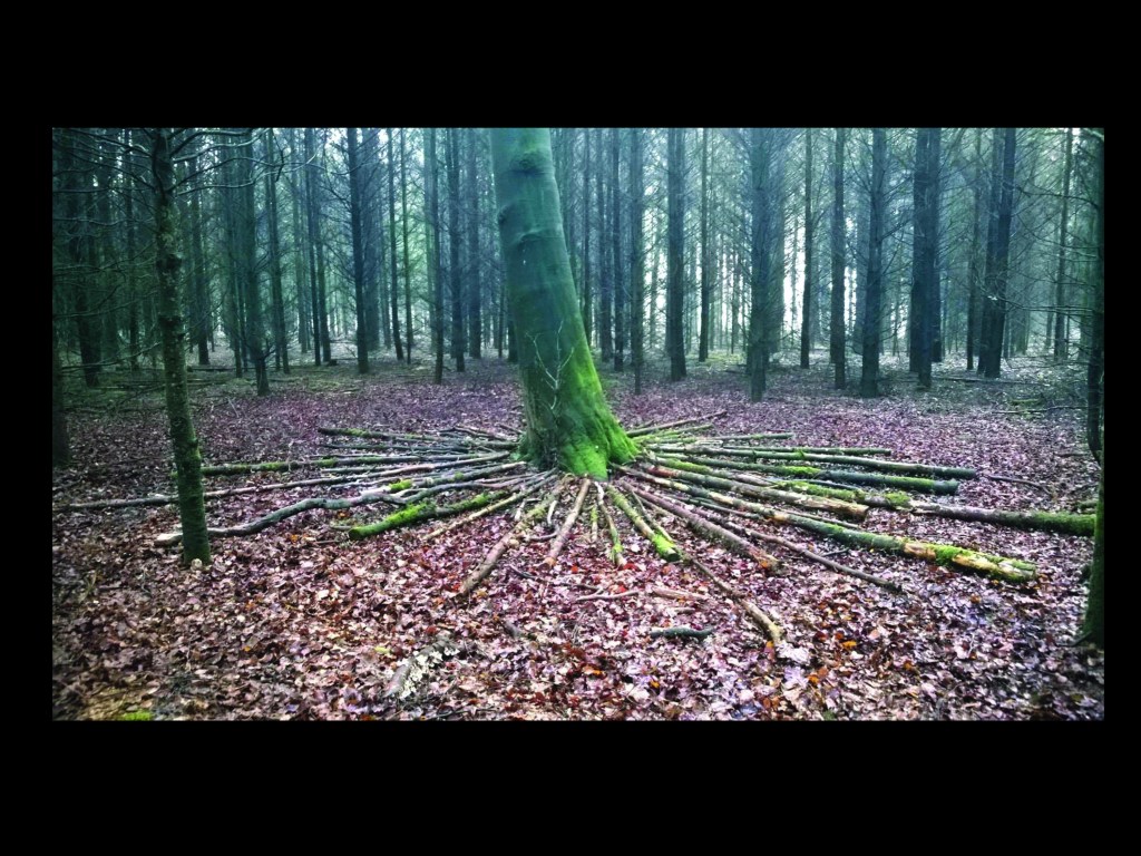 Jonas Geise, Fleur Jonker, Janine van Bon, Judy Leegwater