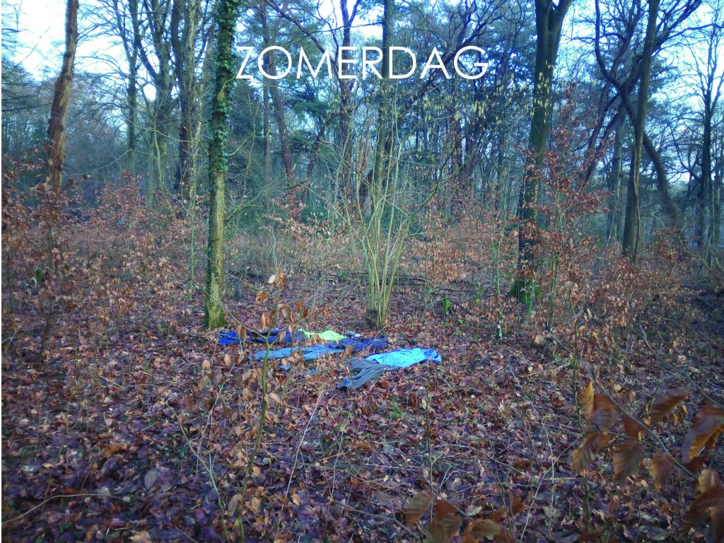 Tom van Aalten, Stefan Rossi, Jeroen Schoonderbeek, Rick Stegeman