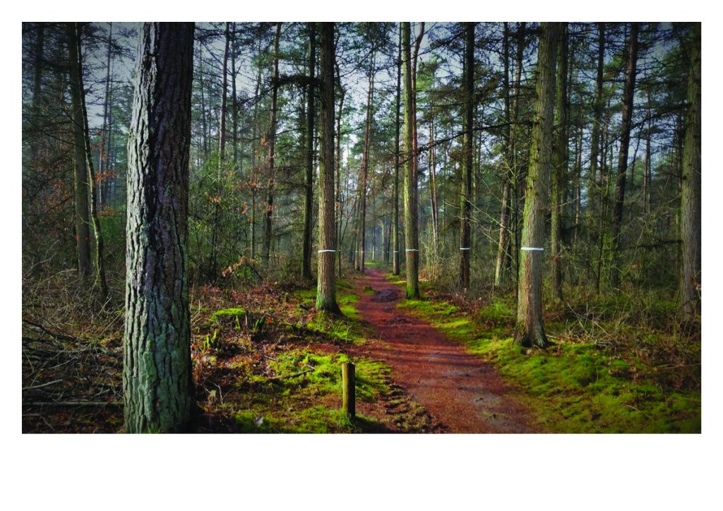 Lisanne Veenbergen ,Nicole van Roij,Denise Peters, Anne van Soest
